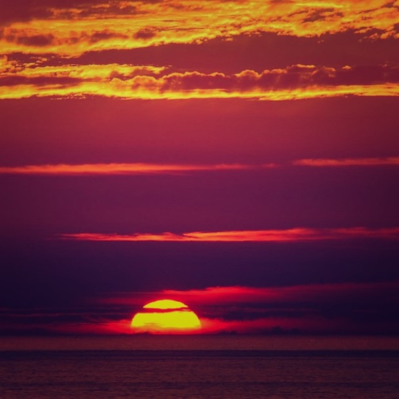 Meet your Posher, Lisa - Picture 1 of 1